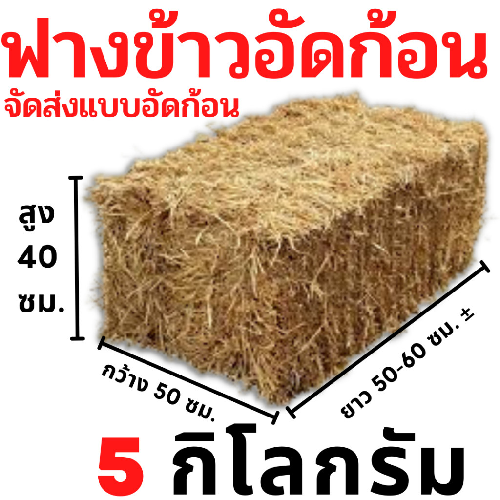 ฟางข้าวอัดก้อน 5 กก. สำหรับนั่ง การเกษตร เลี้ยงสัตว์ ส่งจากนครปฐม หน้าไร่มาเองเกี่ยวใหม่ ราย 3 เดือน
